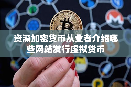 资深加密货币从业者介绍哪些网站发行虚拟货币 资深加密货币从业者介绍哪些网站发行虚拟货币