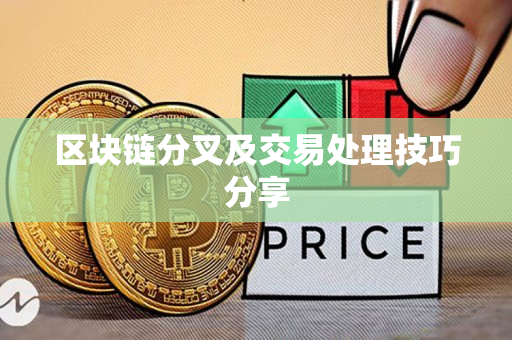 区块链分叉及交易处理技巧分享 区块链分叉及交易处理技巧分享