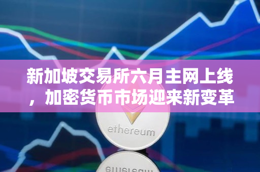 新加坡交易所六月主网上线,加密货币市场迎来新变革 新加坡交易所六月主网上线,加密货币市场迎来新变革