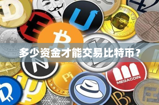 多少资金才能交易比特币？
