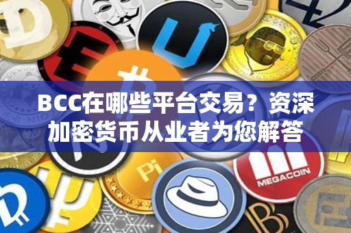 BCC在哪些平台交易？资深加密货币从业者为您解答