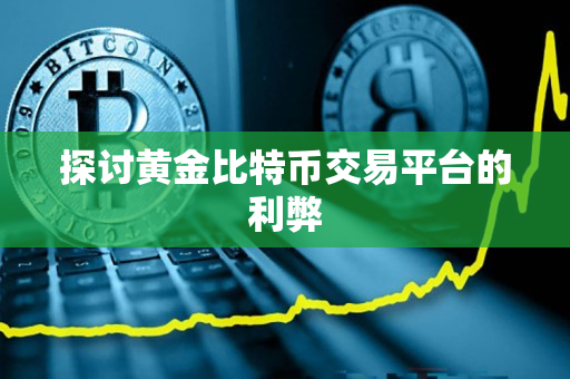 探讨黄金比特币交易平台的利弊