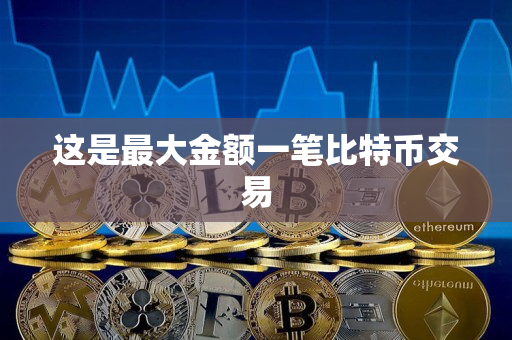 这是最大金额一笔比特币交易