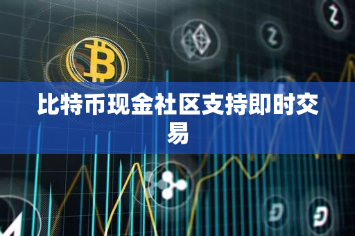 比特币现金社区支持即时交易 比特币现金社区支持即时交易