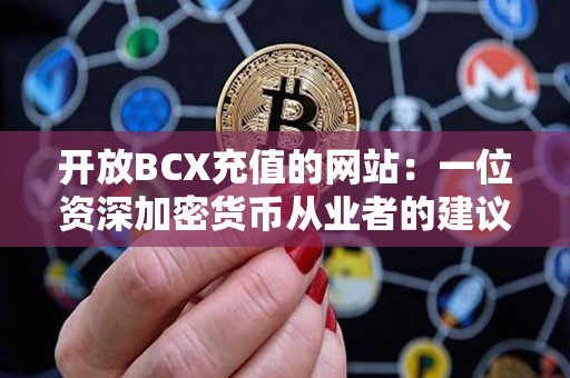 开放BCX充值的网站:一位资深加密货币从业者的建议 开放BCX充值的网站:一位资深加密货币从业者的建议