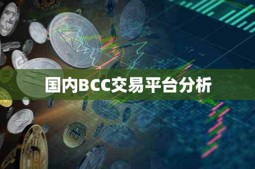 国内BCC交易平台分析