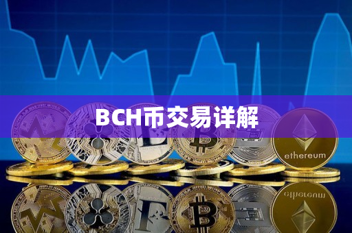 BCH币交易详解 BCH币交易详解
