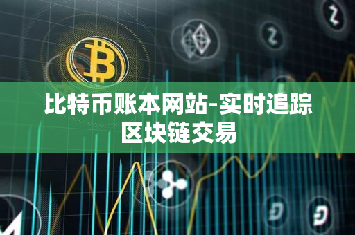 比特币账本网站-实时追踪区块链交易