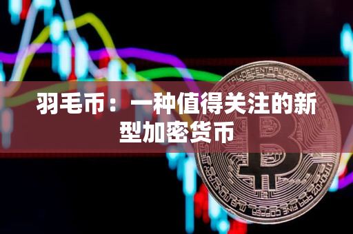 羽毛币:一种值得关注的新型加密货币 羽毛币:一种值得关注的新型加密货币