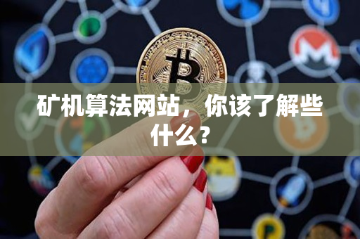 矿机算法网站,你该了解些什么? 矿机算法网站,你该了解些什么?