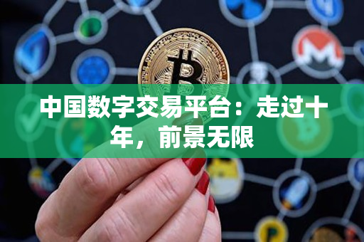 中国数字交易平台：走过十年，前景无限
