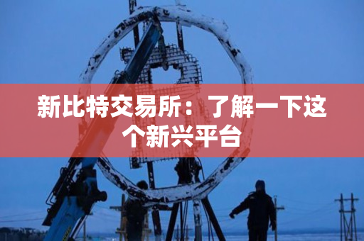 新比特交易所：了解一下这个新兴平台