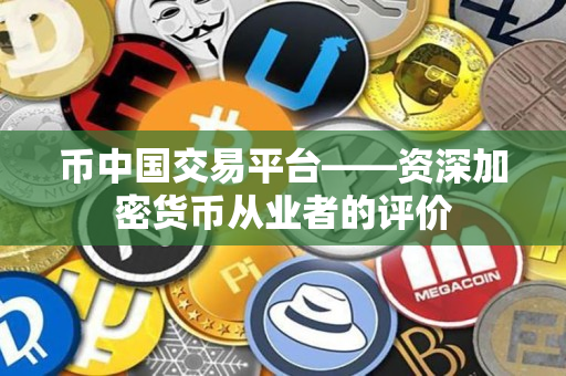 币中国交易平台——资深加密货币从业者的评价