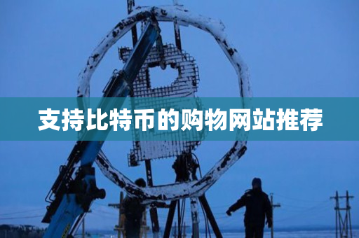 支持比特币的购物网站推荐