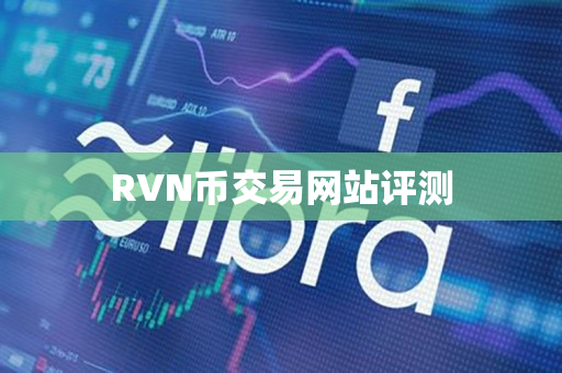 RVN币交易网站评测