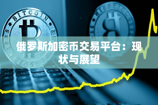 俄罗斯加密币交易平台:现状与展望 俄罗斯加密币交易平台:现状与展望