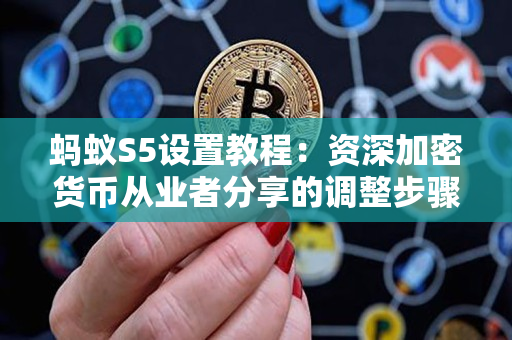 蚂蚁S5设置教程:资深加密货币从业者分享的调整步骤 蚂蚁S5设置教程:资深加密货币从业者分享的调整步骤