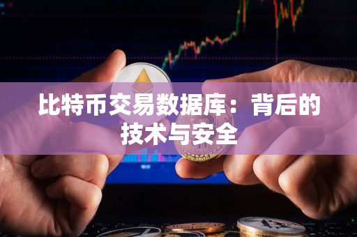 比特币交易数据库:背后的技术与安全 比特币交易数据库:背后的技术与安全