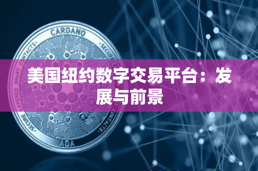 美国纽约数字交易平台：发展与前景
