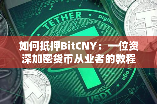 如何抵押BitCNY：一位资深加密货币从业者的教程