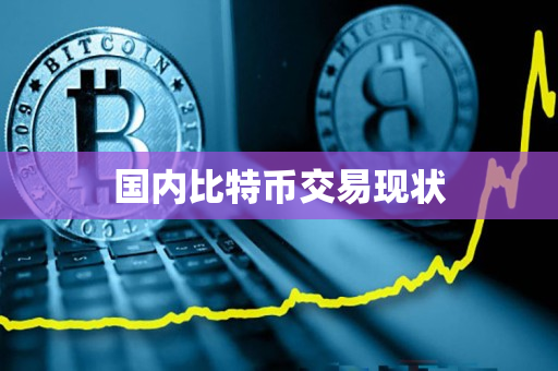 国内比特币交易现状 国内比特币交易现状