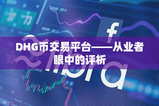 DHG币交易平台——从业者眼中的评析 DHG币交易平台——从业者眼中的评析
