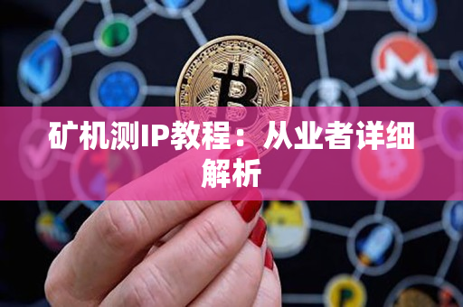 矿机测IP教程:从业者详细解析 矿机测IP教程:从业者详细解析