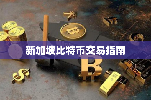 新加坡比特币交易指南 新加坡比特币交易指南