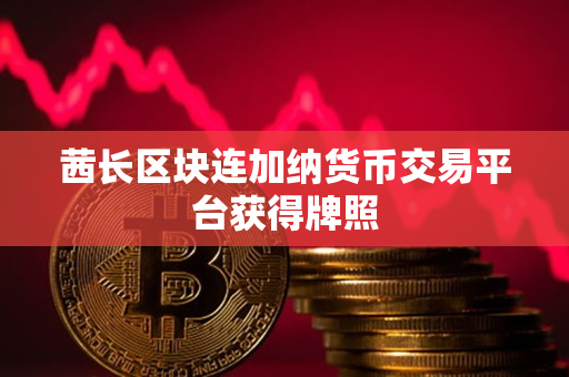茜长区块连加纳货币交易平台获得牌照 茜长区块连加纳货币交易平台获得牌照