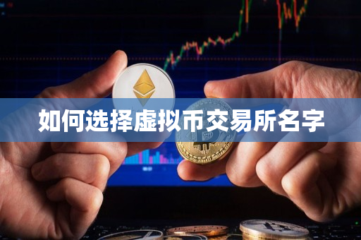 如何选择虚拟币交易所名字