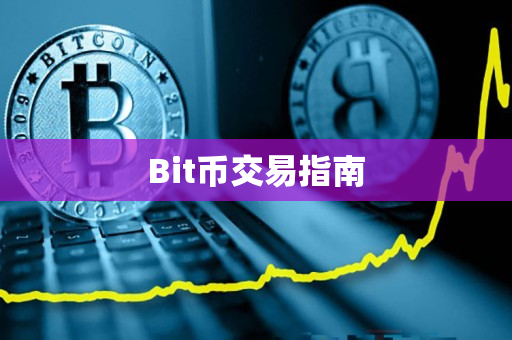 Bit币交易指南 Bit币交易指南