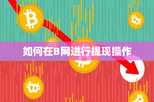 如何在B网进行提现操作 如何在B网进行提现操作