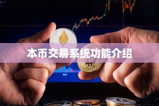 本币交易系统功能介绍 本币交易系统功能介绍