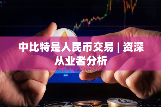 中比特是人民币交易 | 资深从业者分析 中比特是人民币交易 | 资深从业者分析