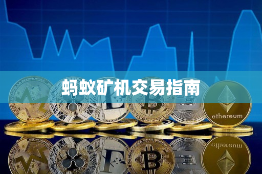 蚂蚁矿机交易指南