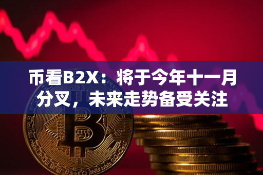 币看B2X:将于今年十一月分叉,未来走势备受关注 币看B2X:将于今年十一月分叉,未来走势备受关注
