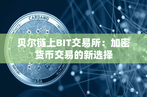贝尔链上BIT交易所:加密货币交易的新选择 贝尔链上BIT交易所:加密货币交易的新选择