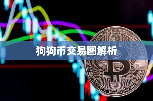 狗狗币交易图解析
