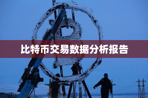 比特币交易数据分析报告 比特币交易数据分析报告