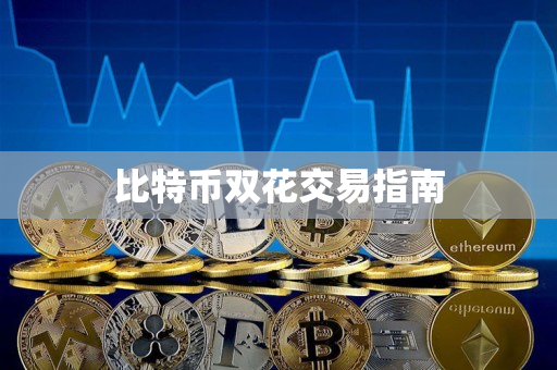 比特币双花交易指南 比特币双花交易指南