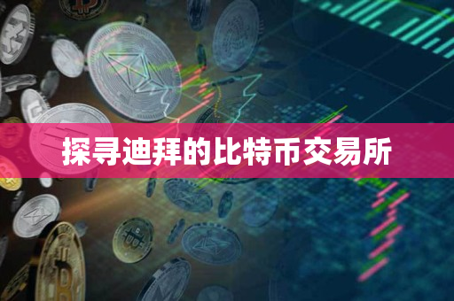 探寻迪拜的比特币交易所 探寻迪拜的比特币交易所