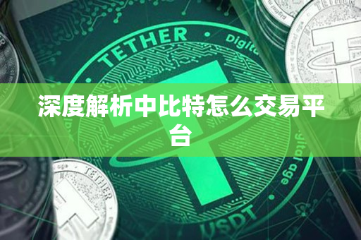 深度解析中比特怎么交易平台 深度解析中比特怎么交易平台
