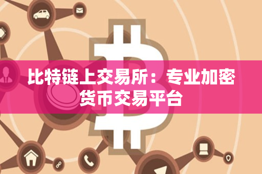 比特链上交易所：专业加密货币交易平台