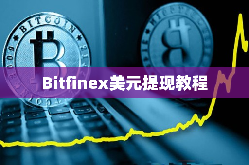 Bitfinex美元提现教程