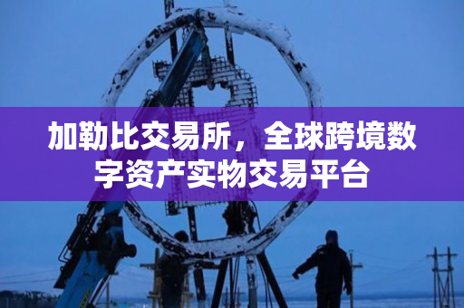 加勒比交易所,全球跨境数字资产实物交易平台 加勒比交易所,全球跨境数字资产实物交易平台