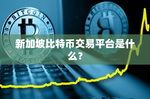 新加坡比特币交易平台是什么? 新加坡比特币交易平台是什么?