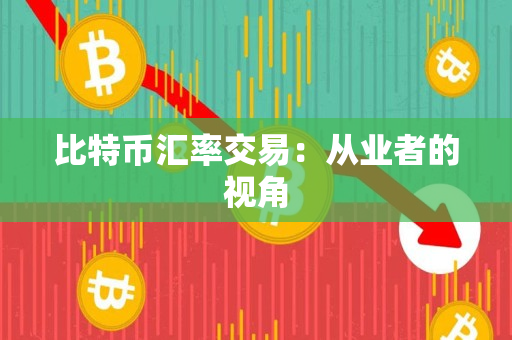比特币汇率交易：从业者的视角