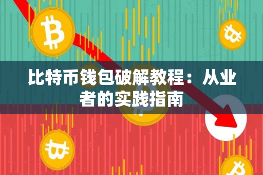 比特币钱包破解教程:从业者的实践指南 比特币钱包破解教程:从业者的实践指南