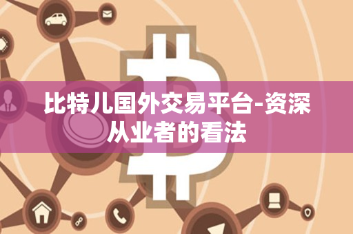 比特儿国外交易平台-资深从业者的看法
