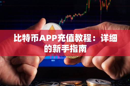 比特币APP充值教程:详细的新手指南 比特币APP充值教程:详细的新手指南
